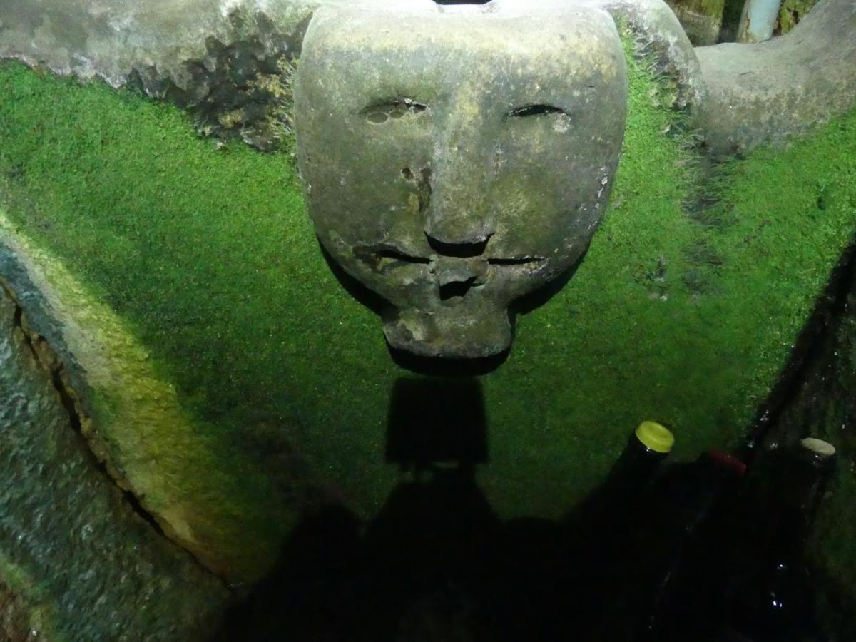 Casa Padre Manuel Do Couto Villa Vila Pouca de Aguiar Kültér fotó